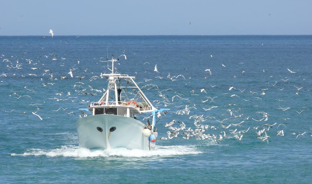 Au nom de l’écologisme radical les Pêcheurs sont sacrifiés 