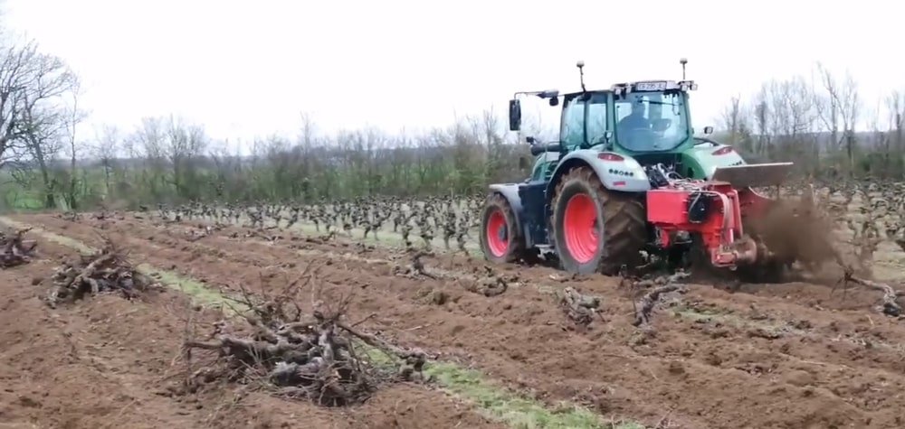 LMR - Campagne d'arrachage des vignes : plus profond qu’une crise conjoncturelle, une crise culturelle !